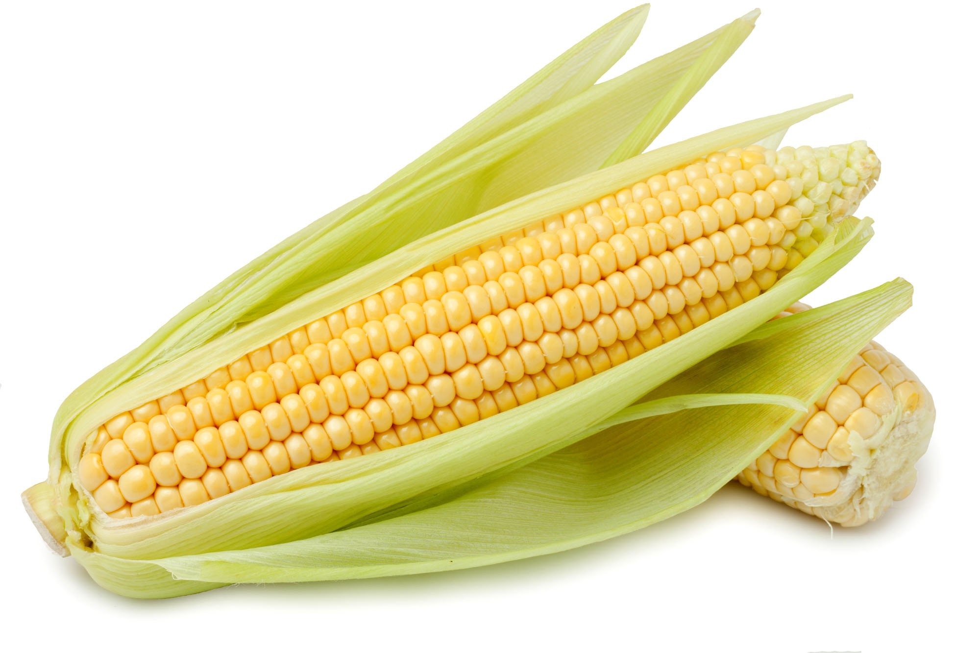 Corn. Кукуруза в початках 1шт. Кукуруза сладкая в початках (прозрачная уп.) 450гр/12 Liebessen Китай. Кукуруза початки молодой Ferragosto 3100. Кукуруза это овощ.